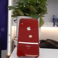 iphone xr 128ch/a