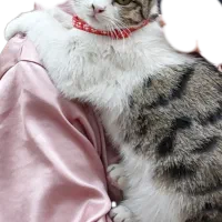 واگذاری فرشته ی مهربون