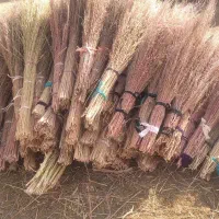 جاروی بلند|لوازم نظافت|یاسوج, |دیوار