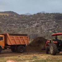 کود گوسفندی تمیز|خدمات باغبانی و درختکاری|خرم‌آباد, |دیوار