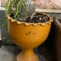 گلدان سرامیکی|گل و گیاه طبیعی|برازجان, |دیوار