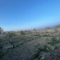 ۱۰۰۰ متر باغ در وایقان شبستر حصار شده