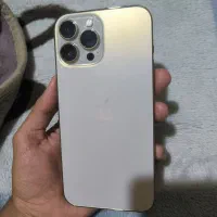 سینزده پرومکس