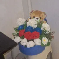 گل هدیه .گل نوزاد.گل کریر.