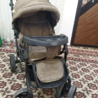 کالسکه|کالسکه و لوازم جانبی|گنبد کاووس, |دیوار