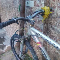 دوچرخه|دوچرخه، اسکیت، اسکوتر|تربت جام, شهید مدرس|دیوار