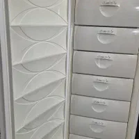 فریزر پارس