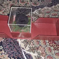 گل جاویدان،دوتا کیف زنانه ودخترانه|کیف، کفش، کمربند|ری, شهرری|دیوار