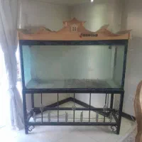 آکواریوم بسیار سالم همراه با فرفورژه