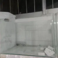 دوعدد آکواریوم در حد نو