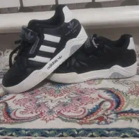 کفش|کیف، کفش، کمربند|پرند, فاز ۱|دیوار