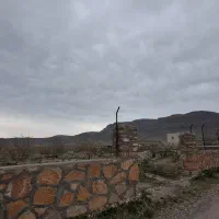 باغ در روستای هاسون