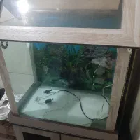 اکواریوم شیشه ۱۰ میل