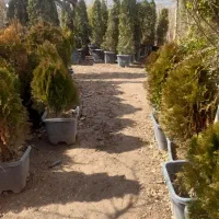 کود.خاک .نهال.باغبانی.آبسرد