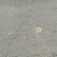 فروش 6عددخروس گلین اصل