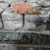 تولید جاسبزه|عمده‌فروشی|لالجین, |دیوار