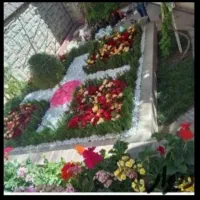 باغبانی کاشت گل باغچه خاک گلدان تمام نقاط