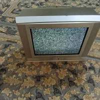 تلویزیون مخصوص خانه باغ