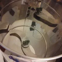 سبزی خردکن برقی|خردکن، آسیاب، غذاساز|پردیس, فاز ۱|دیوار