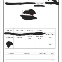 تهیه و تدوین HSE-plan|خدمات پیشه و مهارت|تهران, الهیه|دیوار