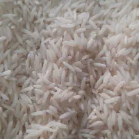 برنج هاشمی، شیرودی، ندا، فجر سورت و بوجاری شده|خوردنی و آشامیدنی|تهران, کن|دیوار