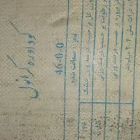 کوداوره