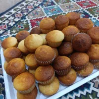 کیک|حراج|سبزوار, کلاته سیفر|دیوار