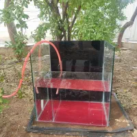 اکواریوم|ماهی|بروجرد, |دیوار