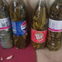 ترشی،خیارشور