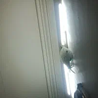 مقداری مهتابی کلیدپریز لوستر چراغ خاب کمد نوزادی