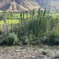 زمین کشاورزی قابل ساخت تا ۵۰ الی ۶۰ متر