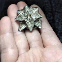 یک جفت گل سینه عطیقه قاجاری|کلکسیون اشیاء عتیقه|رشت, کاکتوس|دیوار