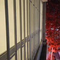 اکاردوانی.حفاظ خورده کاری( جوشکاری )و نصب|مصالح و تجهیزات ساختمان|مشهد, شهرک لشکر (شهرک غرب)|دیوار