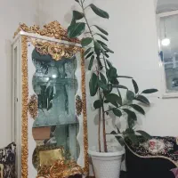 یک گل زیبا به همراه گلدان