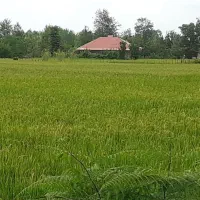 زمین مسکونی