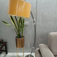 آباژور ایستاده