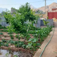 باغ در شهر نیر زیبای من|فروش خانه و ویلا|نیر (یزد), |دیوار