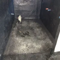 سیمان کاری آجر بلوک چینی نصب  ایزوگام|خدمات پیشه و مهارت|ماسال, |دیوار