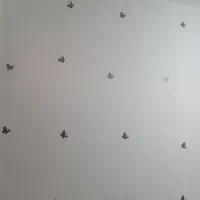 رنگ آمیزی ساختمان و درب پنجره|خدمات پیشه و مهارت|سوسنگرد, |دیوار