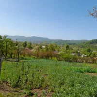 ۳۲۲مترزمین مسکونی سندششدانگ رودبارسرا|فروش زمین و ملک کلنگی|رضوانشهر, |دیوار