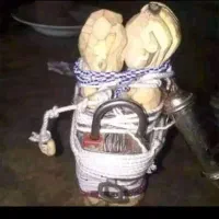 دعا و امورات|خدمات پذیرایی، مراسم|گرگان, |دیوار