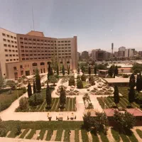 15-قصب-زمین-جنوبی-حصارکشی-شده-امام-حسن