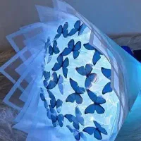 گل روبانی و پروانه ای