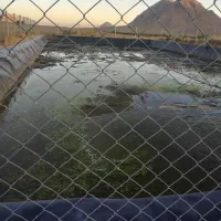 80جریب زمین کشاورزی واقع در دهاقان|فروش دفتر صنعتی، کشاورزی، تجاری|دهاقان, |دیوار