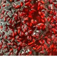 پخش ترشک ولواشک به صورت عمده|عمدهفروشی|سیریک, |دیوار