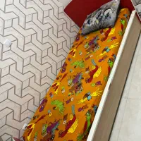 تخت تک نفره بزرگسال درحدنو با پاتختی