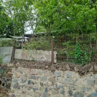 شمشک بالا ریگ جو  ۷۰۰ متر خانه باغ
