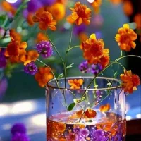 راهنمایی و مشاوره رایگان‌