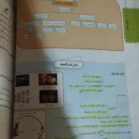 کتاب علوم هشتم|کتاب و مجله آموزشی|مشهد, هفت تیر (حافظ)|دیوار