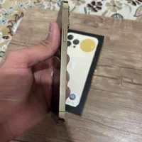 iPhone 13 Pro Max 256 ZAA|موبایل|تهران, وردآورد|دیوار